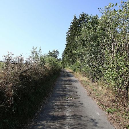 Secluded Apartment In Medebach With Terrace 外观 照片